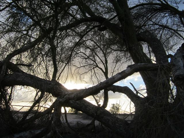 Lurking place