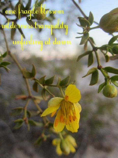 Tranquility haiga photo TranquilityHAIGA_zpsc6929e2a.jpg