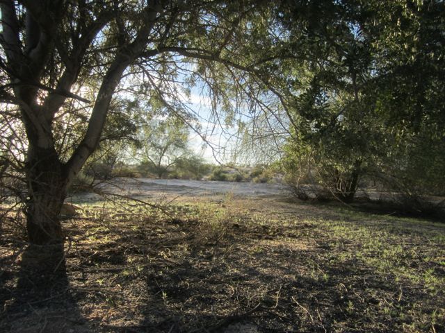 photo desertshade_zpsa7652a00.jpg