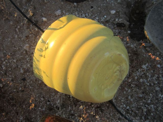Yellow potsherd photo yellowpotsherd_zps9ee2ab4f.jpg