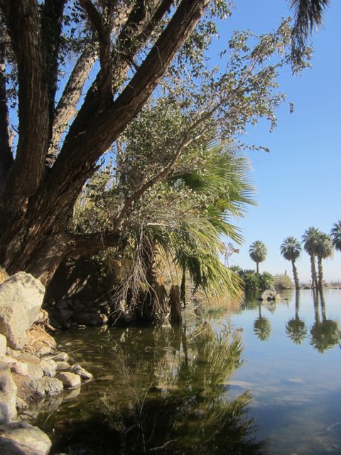 photo oasis_zps851dcfbd.jpg