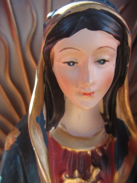 Guadalupe macro photo GuadalupeYPC_zps9cd46a39.jpg