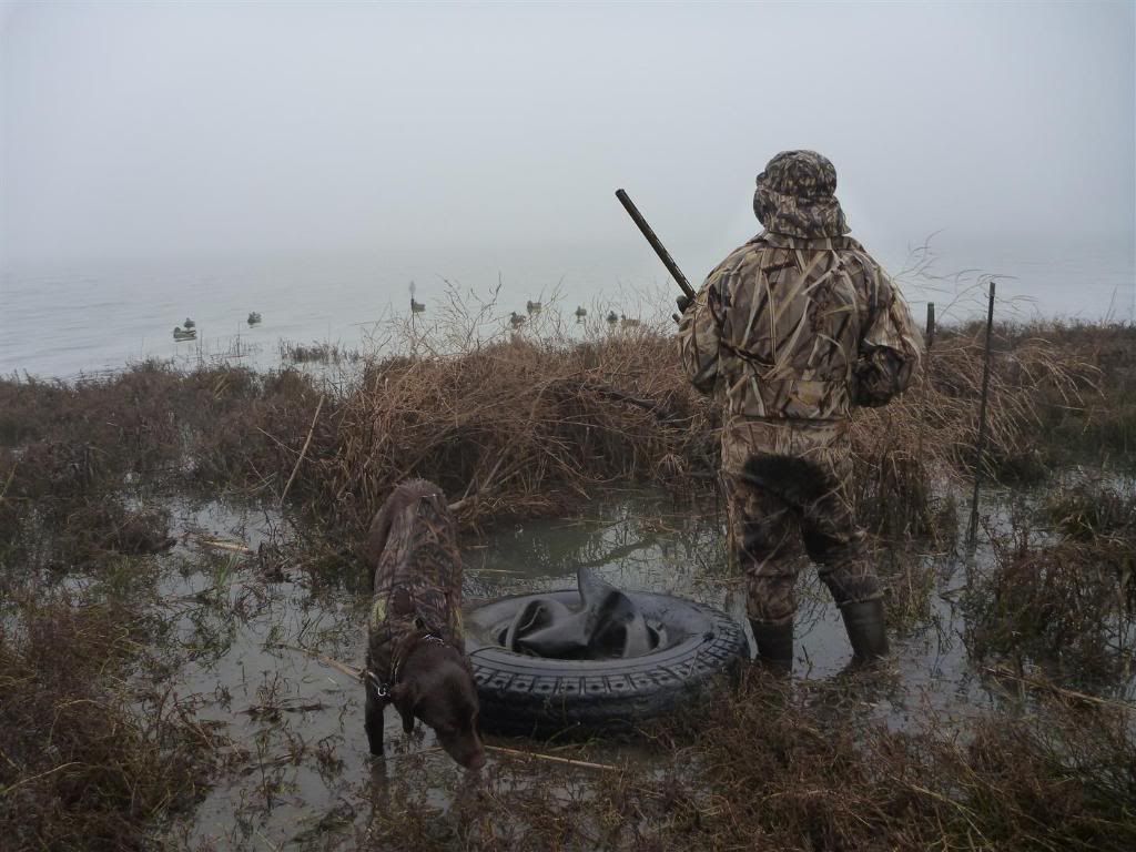 Season pics Duck Hunting Forum
