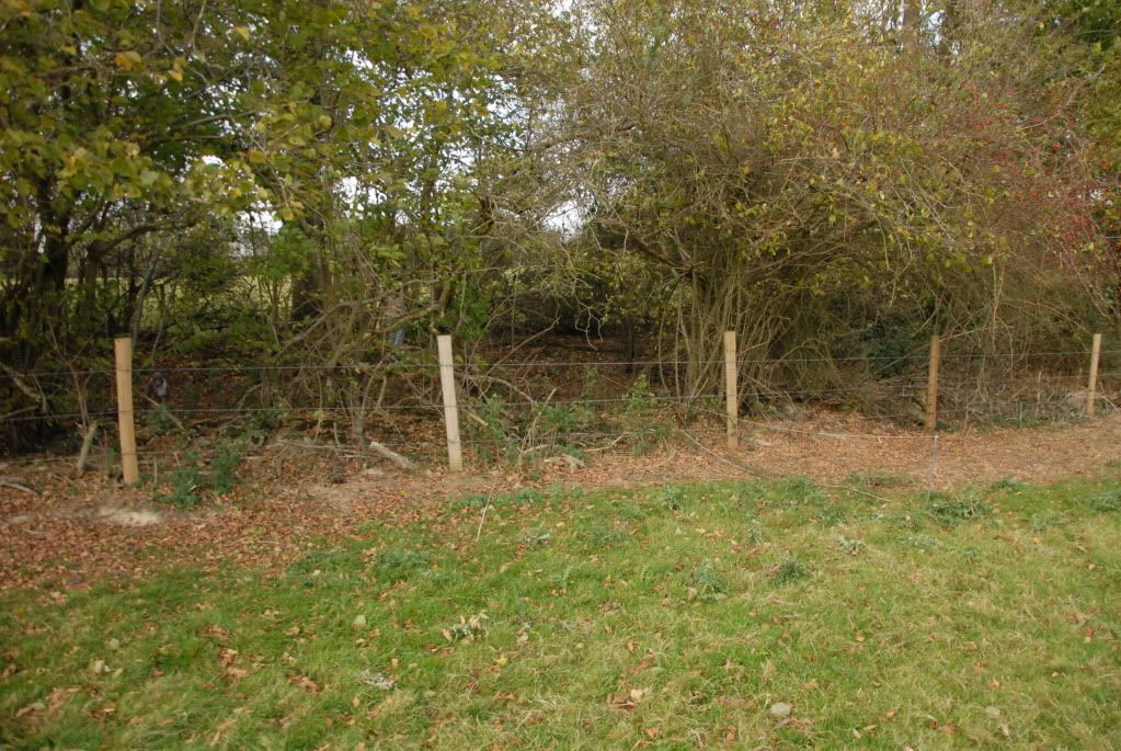 DSC_0038.jpg