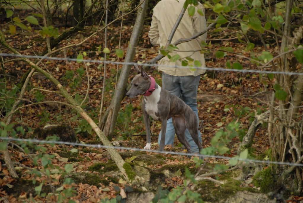 DSC_0039.jpg