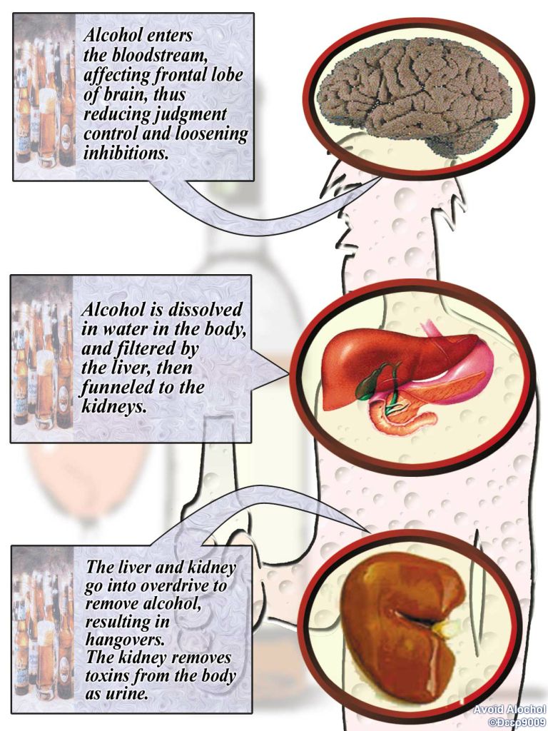 AVOID ALCOHOL © Deep9009 phentermine side effects alcohol