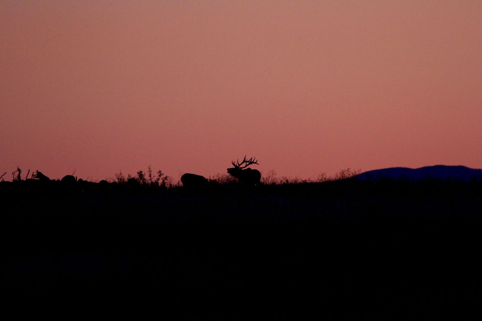 IMAGE: http://i1106.photobucket.com/albums/h372/Oilers1980/IMG_2408_zps6jejzz18.jpg