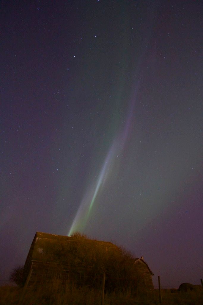 IMAGE: http://i1106.photobucket.com/albums/h372/Oilers1980/IMG_9307_2_zpsuufutsyj.jpg