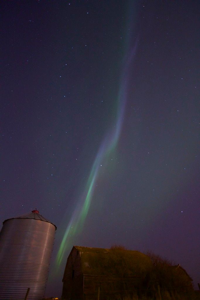 IMAGE: http://i1106.photobucket.com/albums/h372/Oilers1980/IMG_9309_2_zpsyzzi7orf.jpg