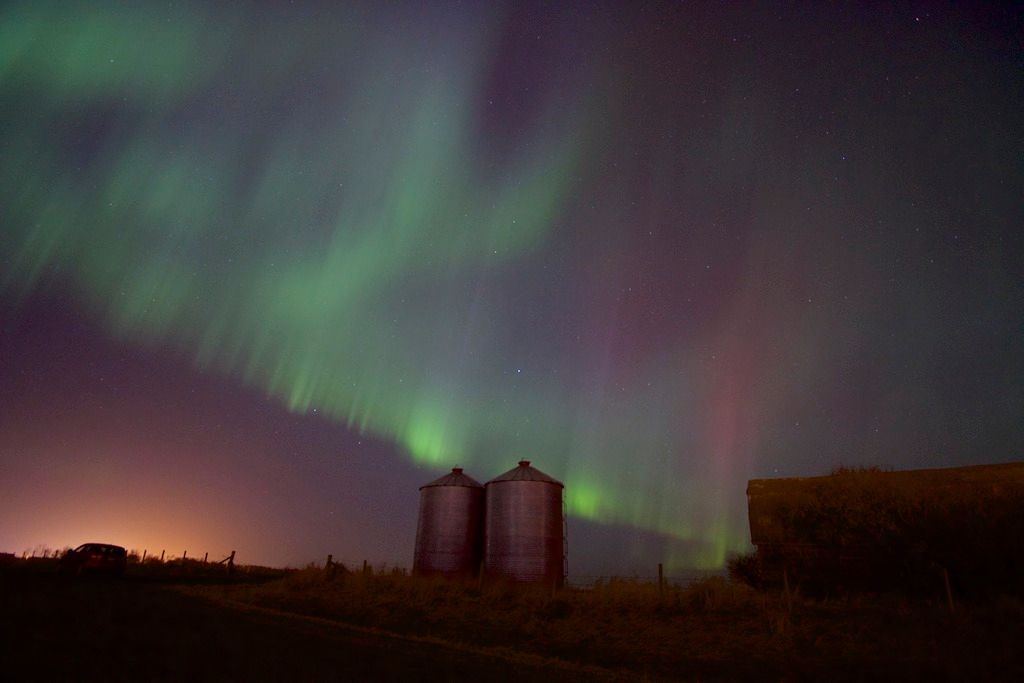 IMAGE: http://i1106.photobucket.com/albums/h372/Oilers1980/IMG_9369_zpszuezy2n1.jpg