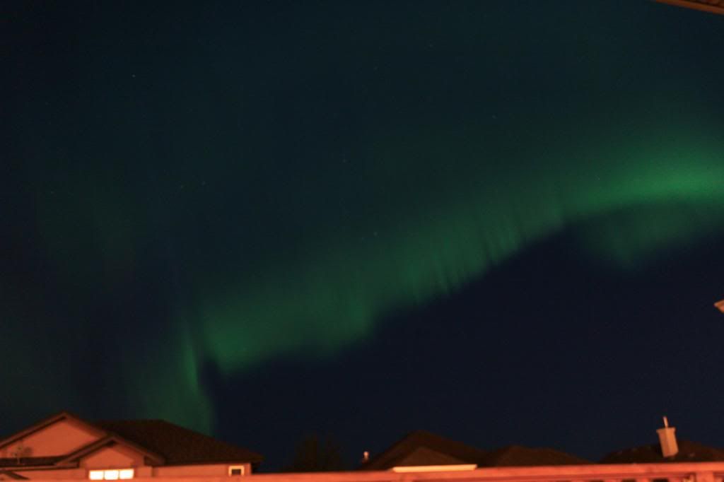 IMAGE: http://i1106.photobucket.com/albums/h372/Oilers1980/Landscapes/IMG_8124_zpsb4350092.jpg