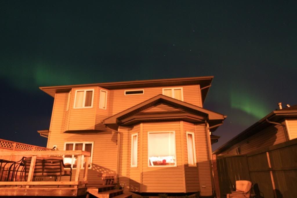 IMAGE: http://i1106.photobucket.com/albums/h372/Oilers1980/Landscapes/IMG_8129_zpse7b97241.jpg