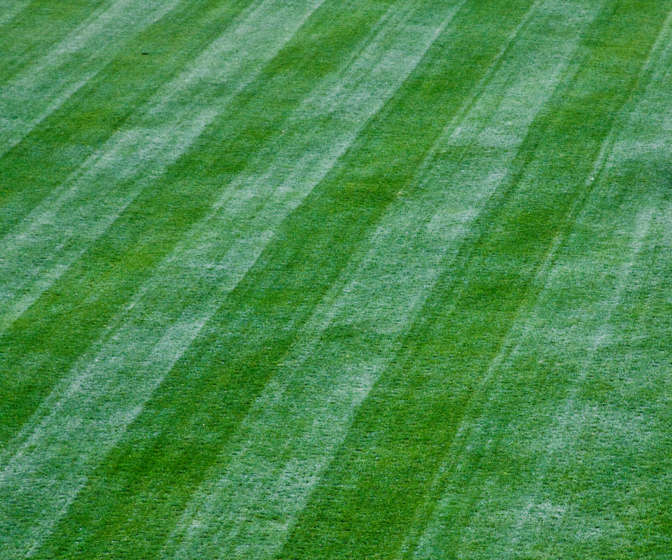 grass960800.png