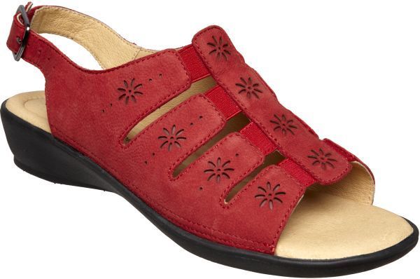 Clothing, Shoes, Accessories  Women's Shoes  Sandals, Flip-Flops