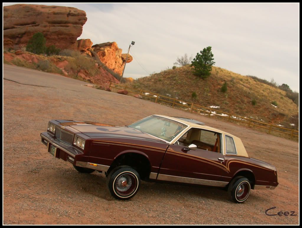 Colorado Lowriders Page 5154 Lowrider Forums