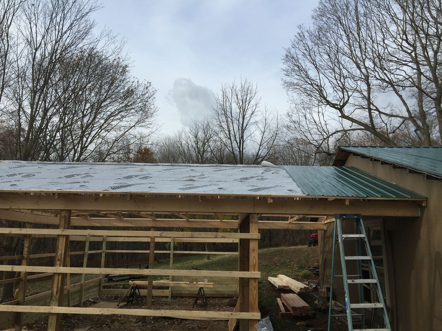 Non Toxic Steel Roofs