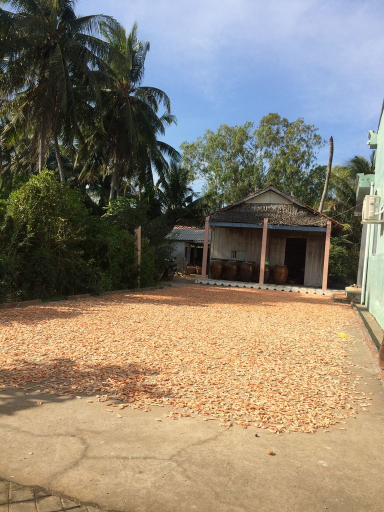 Tôm khô Vinh Kim,Trà Vinh món quà ý nghĩa ngày tết - 1