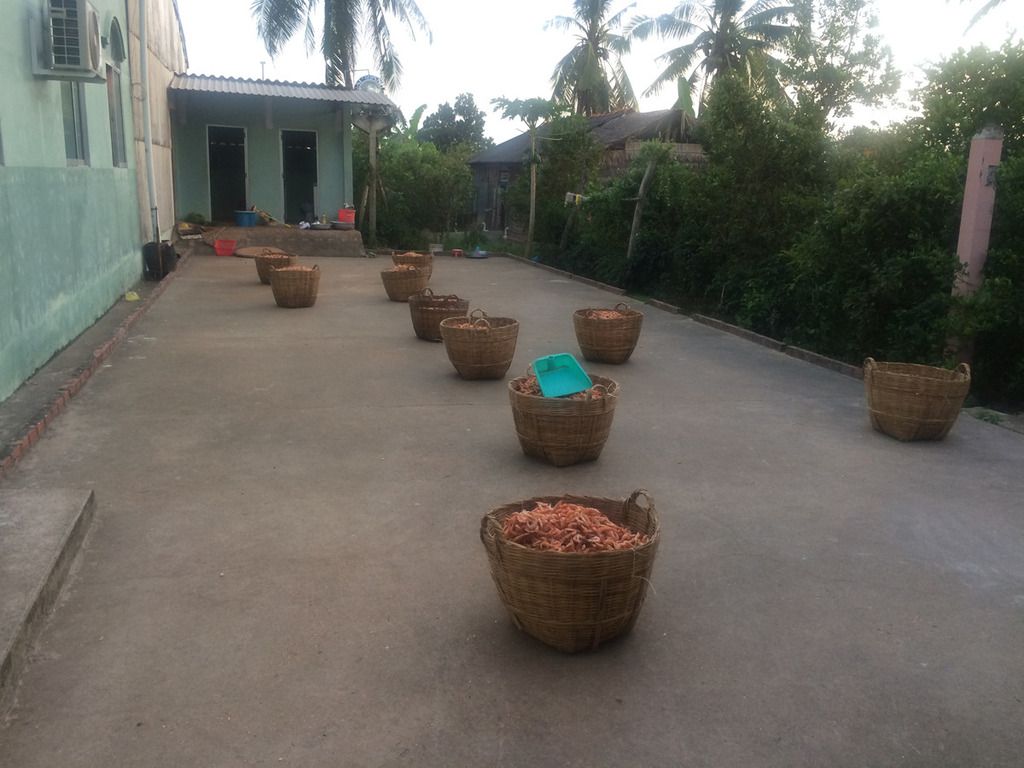 Tôm khô Vinh Kim,Trà Vinh món quà ý nghĩa ngày tết - 2