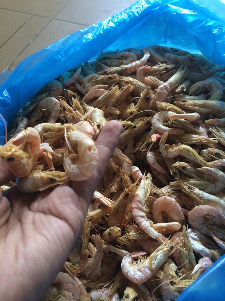 Tôm khô Vinh Kim,Trà Vinh món quà ý nghĩa ngày tết - 6