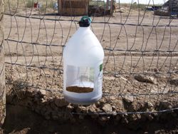 My $1.79 Mineral Feeder - Goats