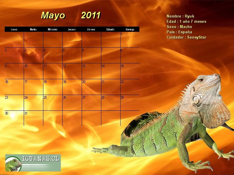 calendario 2011 mayo. - Calendario iguanas.cl 2011.