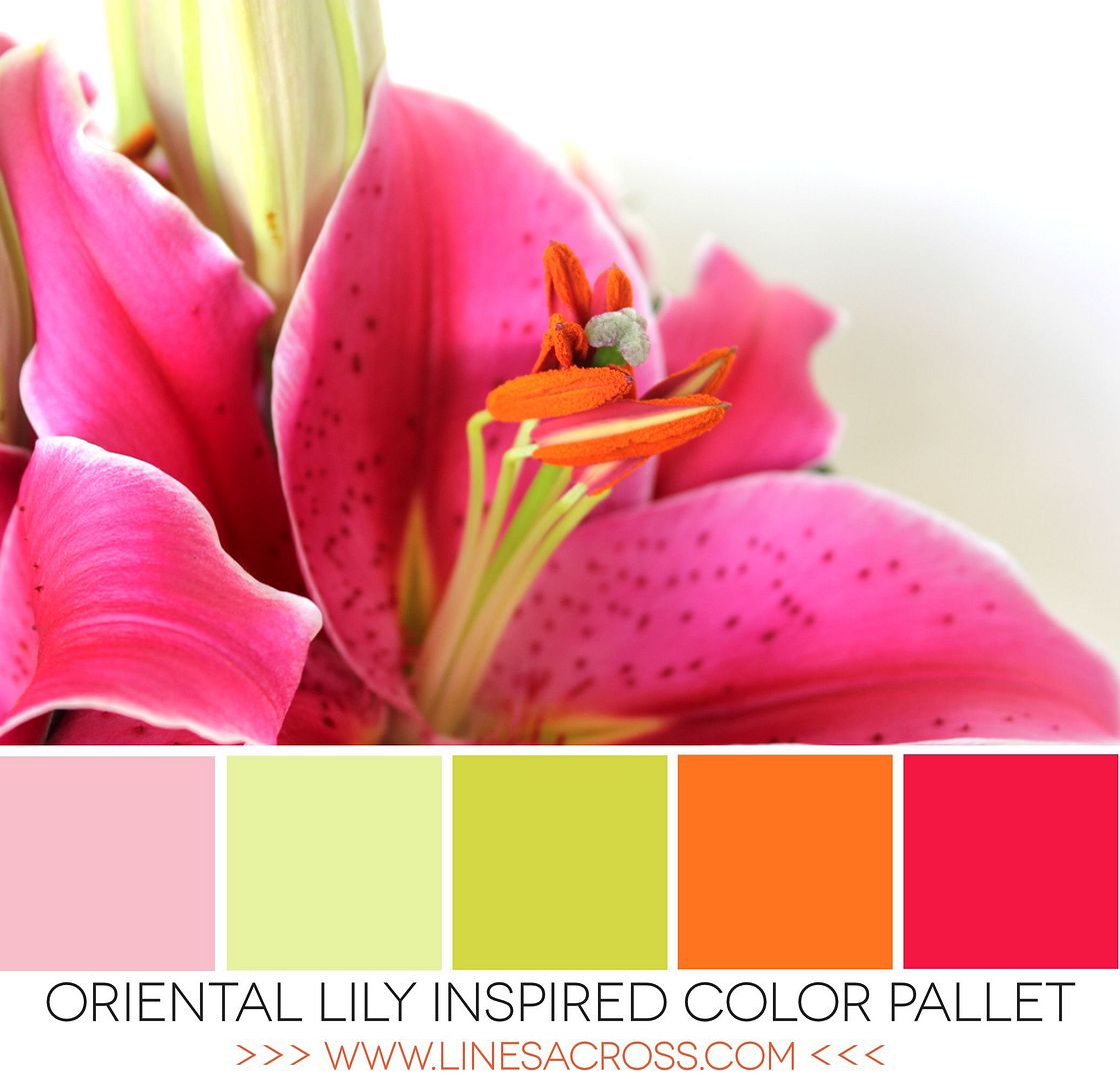 Oriental Lily Tropical Color Pallet