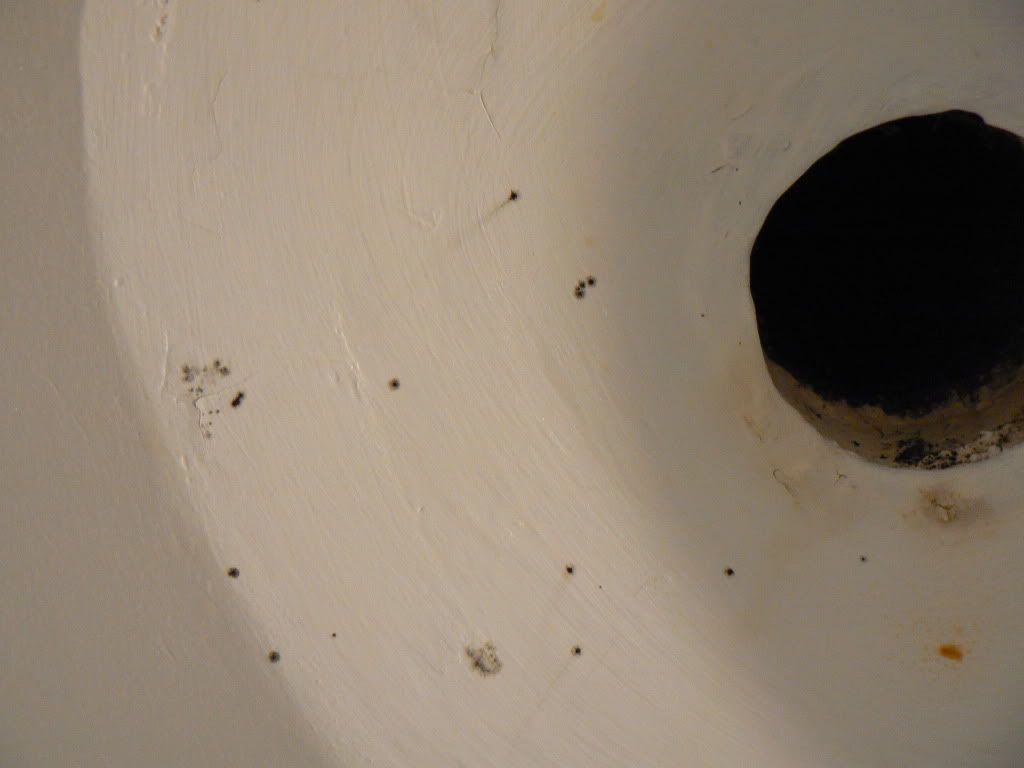 ID Bed Bugs Stains on Bathroom walls Â« Got Bed Bugs? Bedbugger Forums