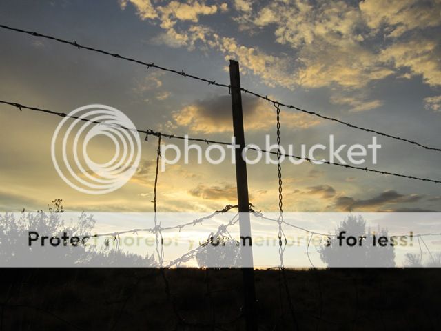 Sunset on the fenceline photo NorAzJuly2012537a_zps8e1abcb5.jpg