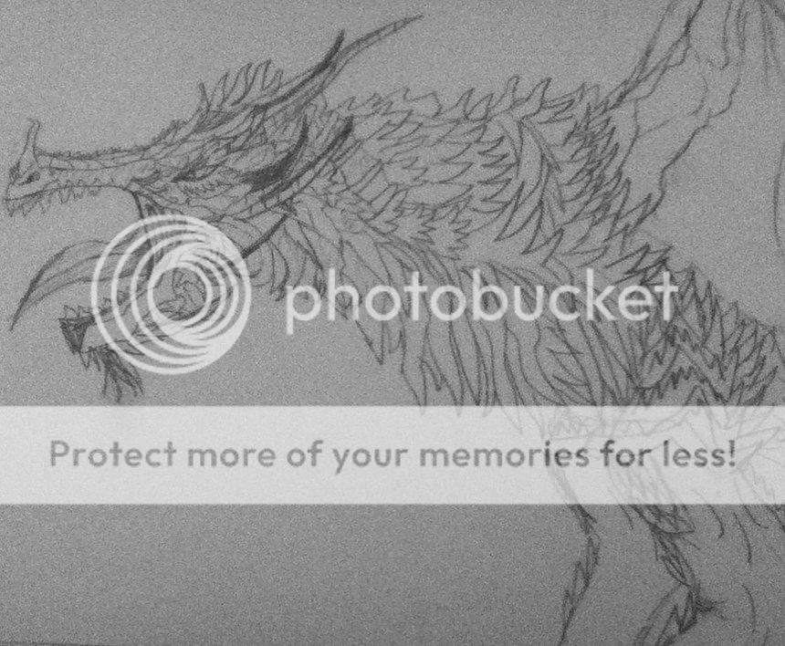 6A5AA9F9-9505-487D-A8FE-D24E22DDAF52_zps