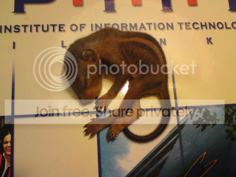 DSC05224.jpg